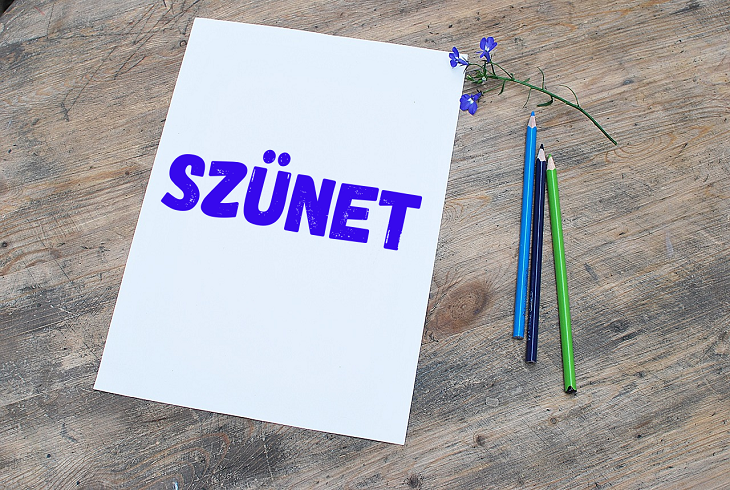 Sznet