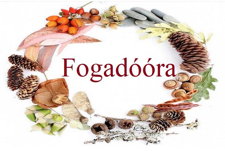 Fogadra