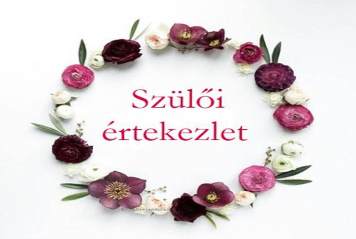 Szli rtekezlet