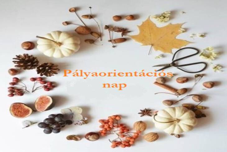Plyaorientcis nap