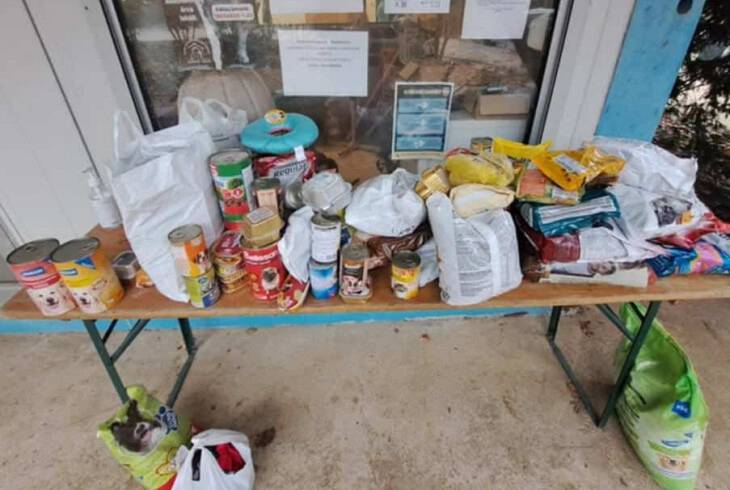 2.a osztly ltogatsa az llatmenhelyen