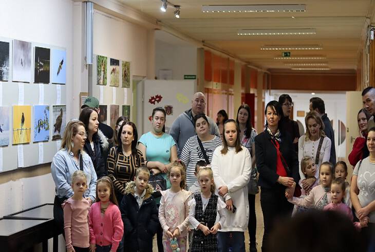 Ovis ny�lt d�lel�tt 