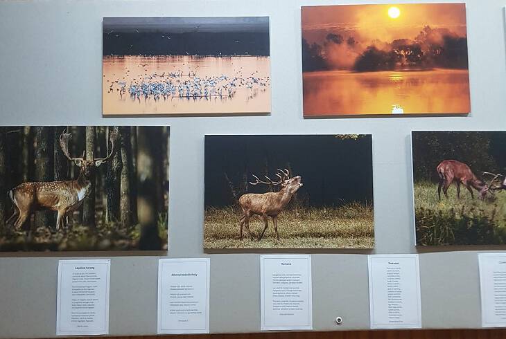 Wenczel Erika term�szetfot�s A term�szet a lelkem c�m� fot�ki�ll�t�s�nak megnyit�ja